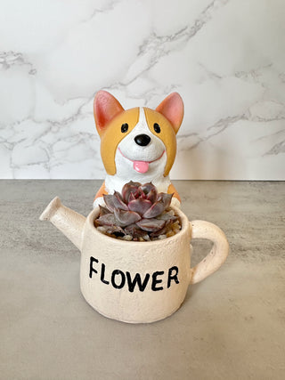 Corgi with Watering Can