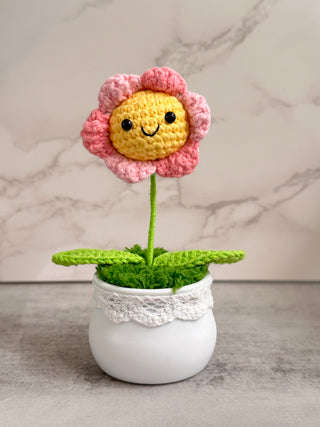 Crochet Plants