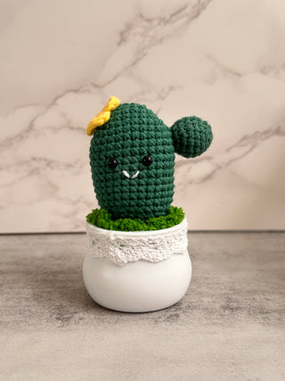 Crochet Plants