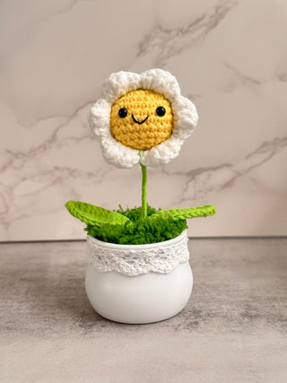 Crochet Plants