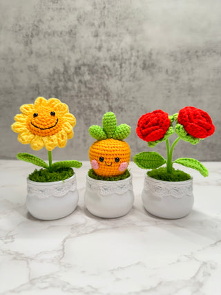 Crochet Plants
